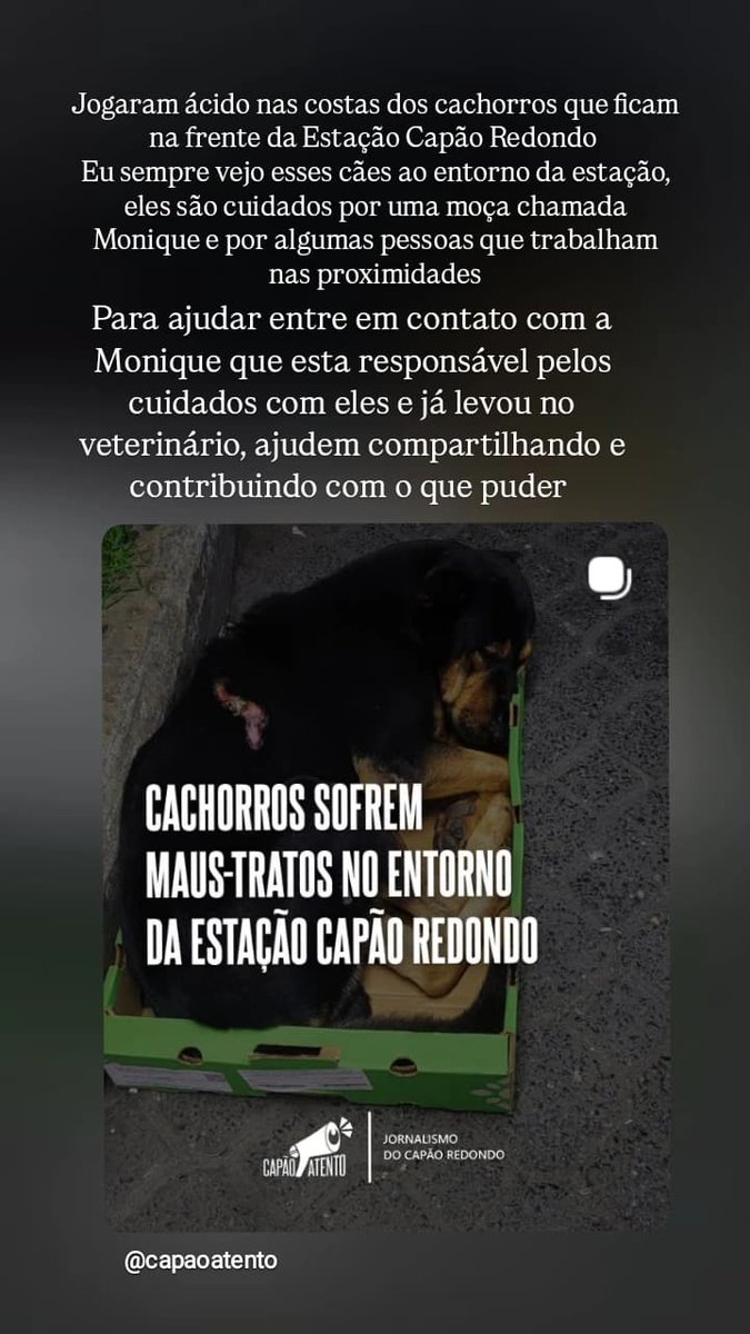Light_Dark20's tweet photo. Ajudem através desse link https://t.co/6vYQrX7Egy

#JustiçaPorOrelha #JusticaPorAbacate #JustiçaPorTodosOsAnimais https://t.co/E3csEEtB73