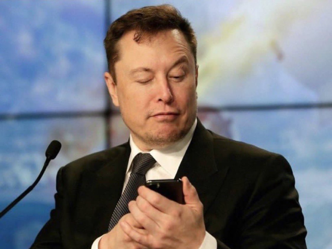 ELON 🚀★ tweet media