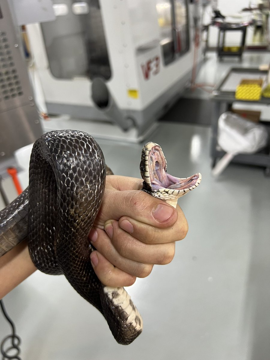 ham mike tweet media