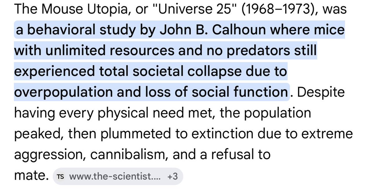 Autism Capital 🧩 tweet media