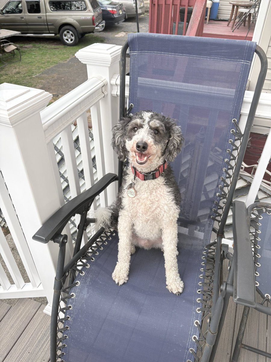 🇩🇲 Brii 🇲🇶 tweet media