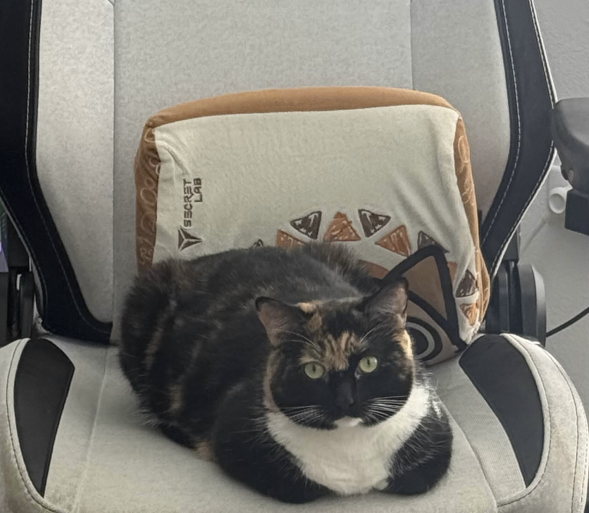 MSI Gaming USA tweet media