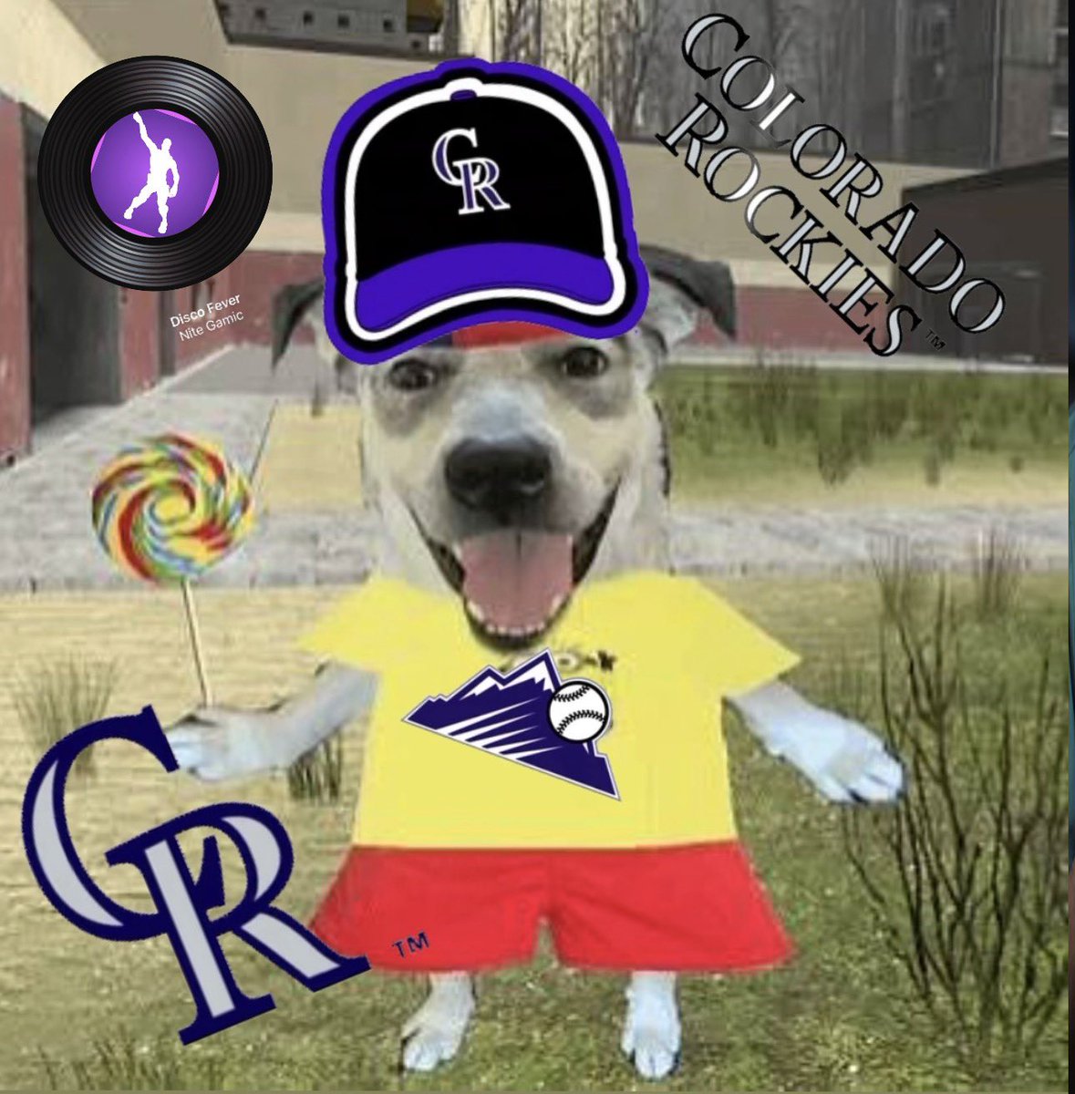 The Rocky Mountain Bull tweet media