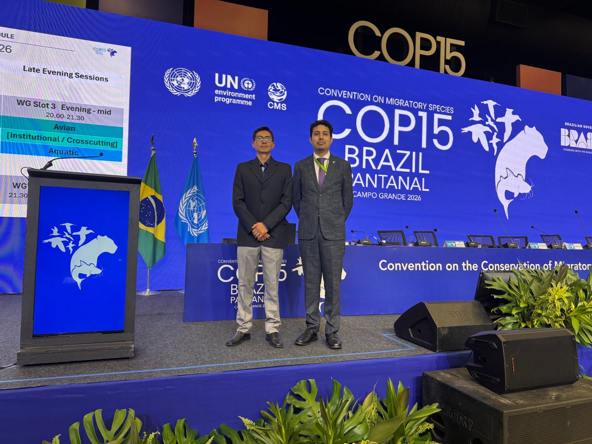 EcuadorMAE's tweet photo. 🌎[INTERNACIONAL]

🇧🇷CAMPO GRANDE | BRASIL

Se desarrolló la 15ª Conferencia de las Partes de la Convención sobre la Conservación de las Especies Migratorias de Animales Silvestres (CMS COP15). Representantes de esta cartera de Estado presentaron propuestas técnicas para fortalecer la cooperación transfronteriza. Además, se abordaron las acciones que ejecuta el Gobierno para la protección de especies marinas, aves costeras y la biodiversidad amazónica.