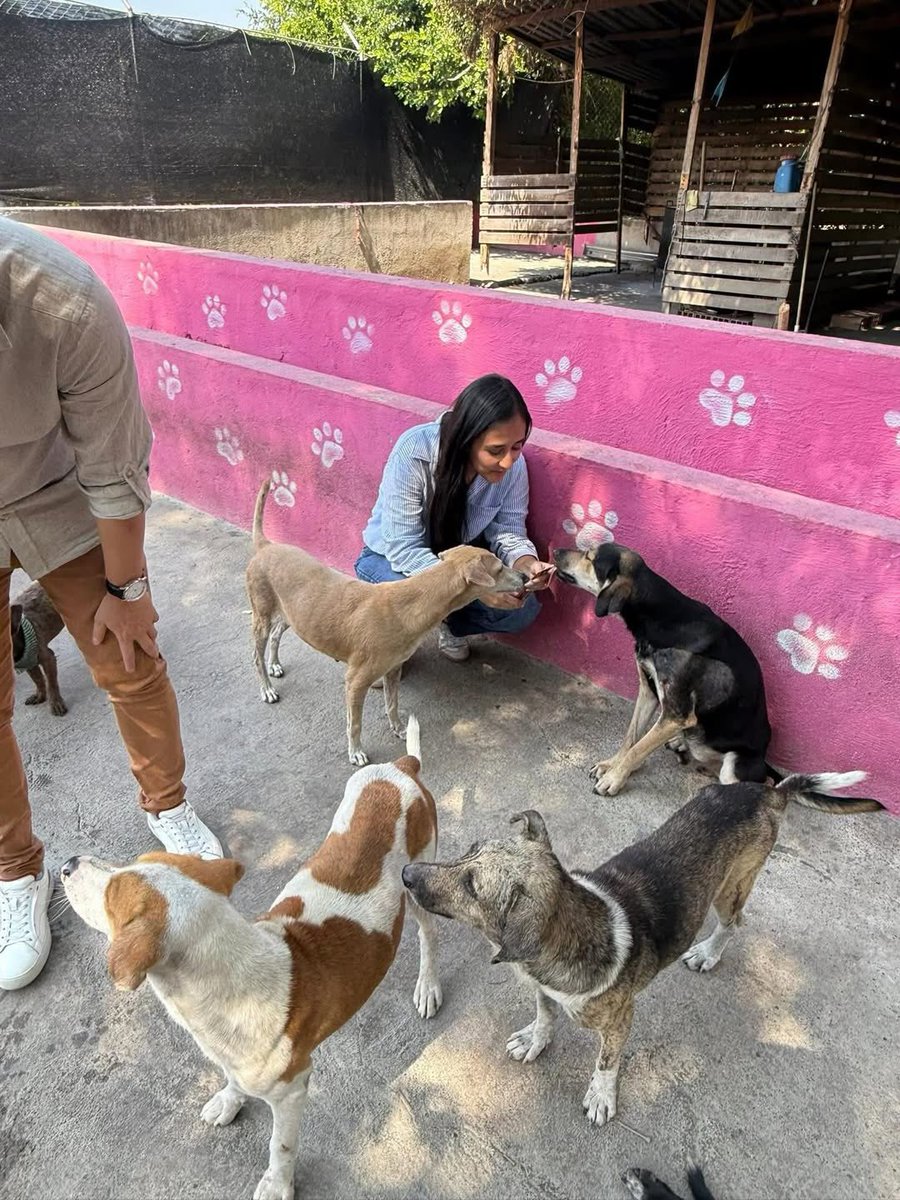 Happy Wednesday everyone and happy start to April🙏

Here are some photos that we still need to upload about the visit of the Kewao company to our refuge😊

We are extremely grateful for the support of the people in our community🩵

SHARE🔁