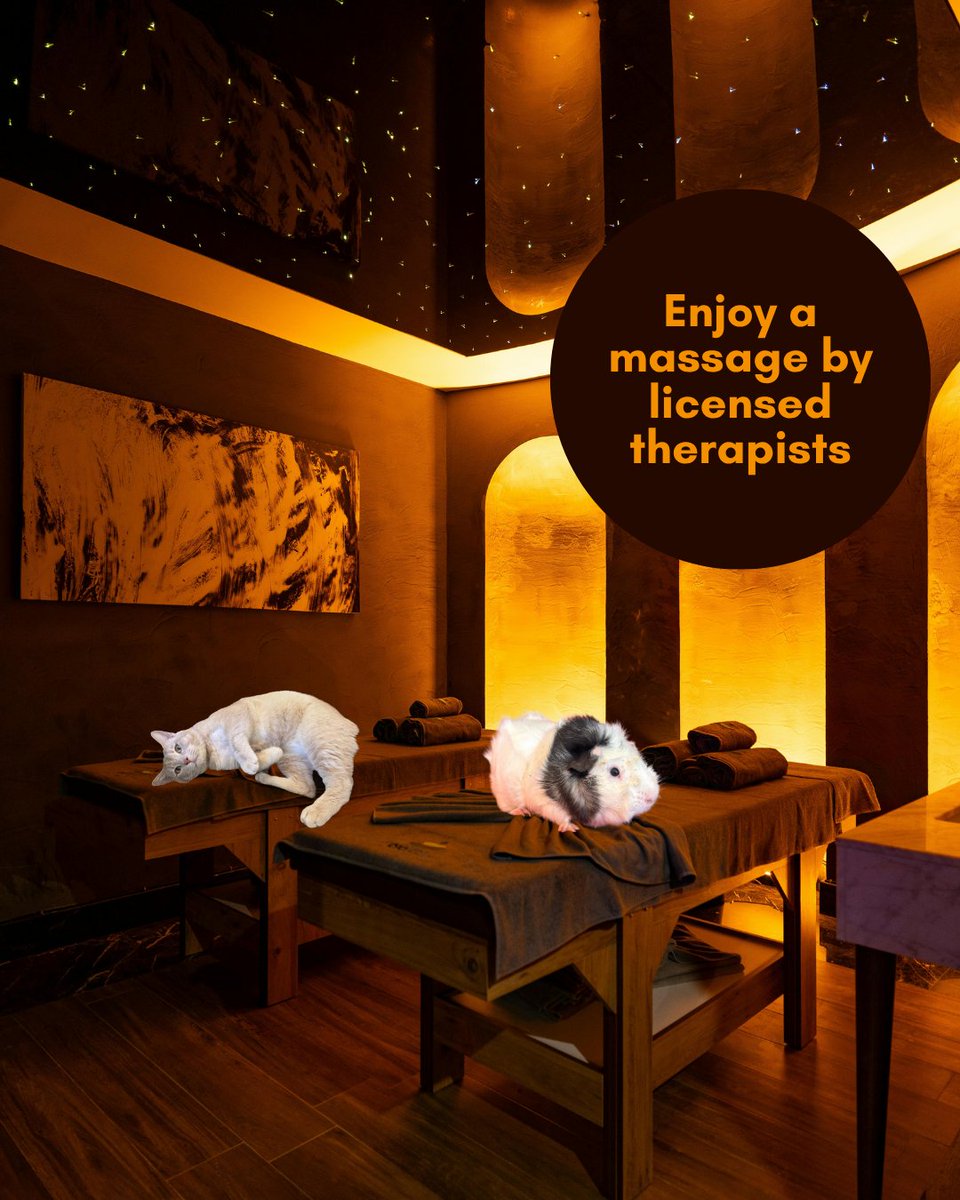 PHS/SPCA tweet media