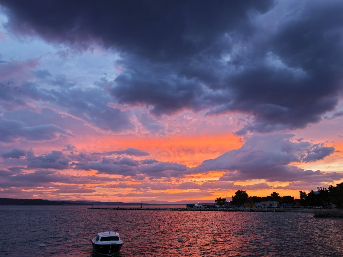 Petar Pero tweet media