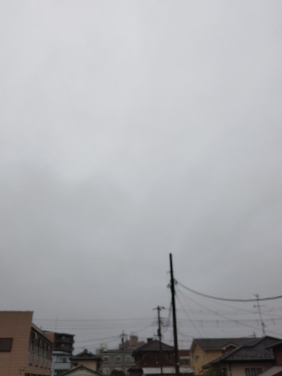 colonel_3dz（かーねる３だーす） tweet media