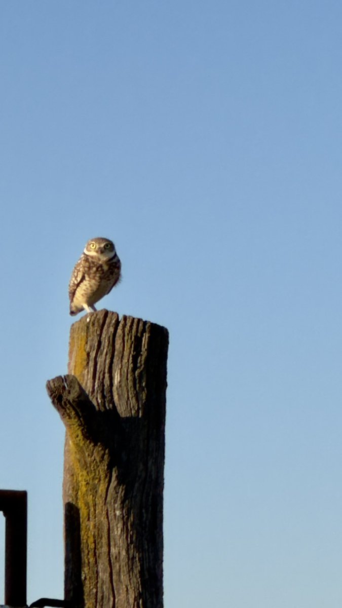 Brit Stack tweet media