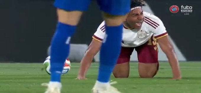 Bitchcelona Dogs Owner tweet media