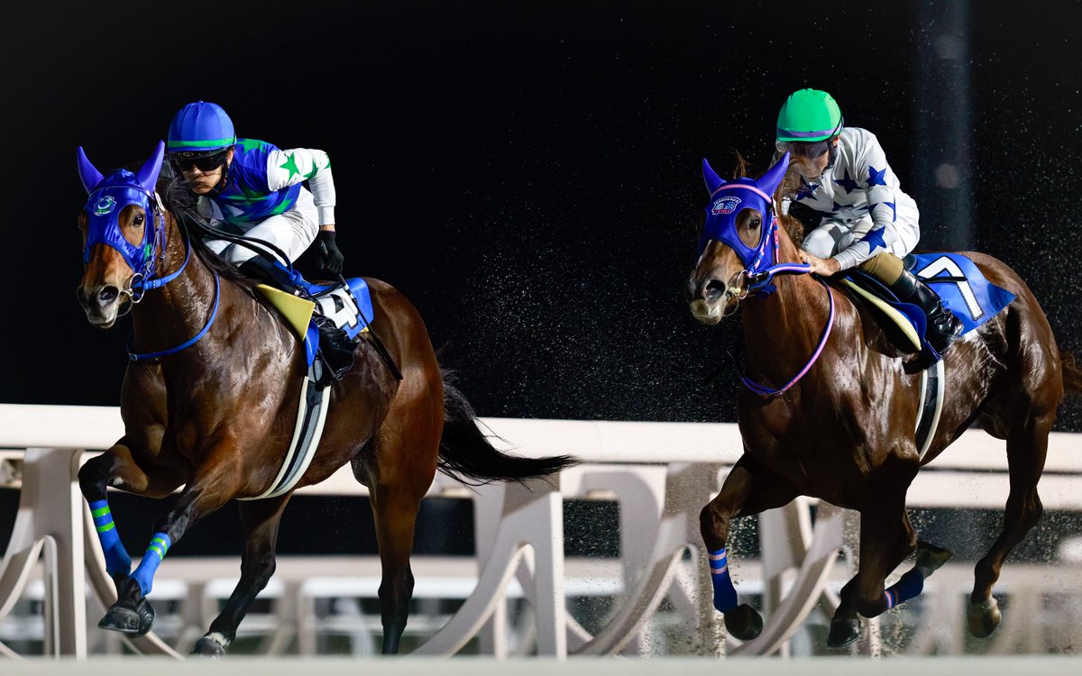 @๐๐ท๐ช๐ซ๐ต๐ฎ๐ tweet media