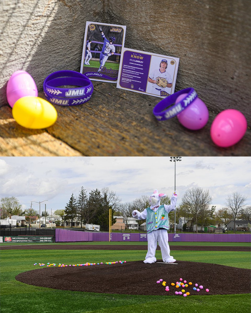 JMU Baseball tweet media
