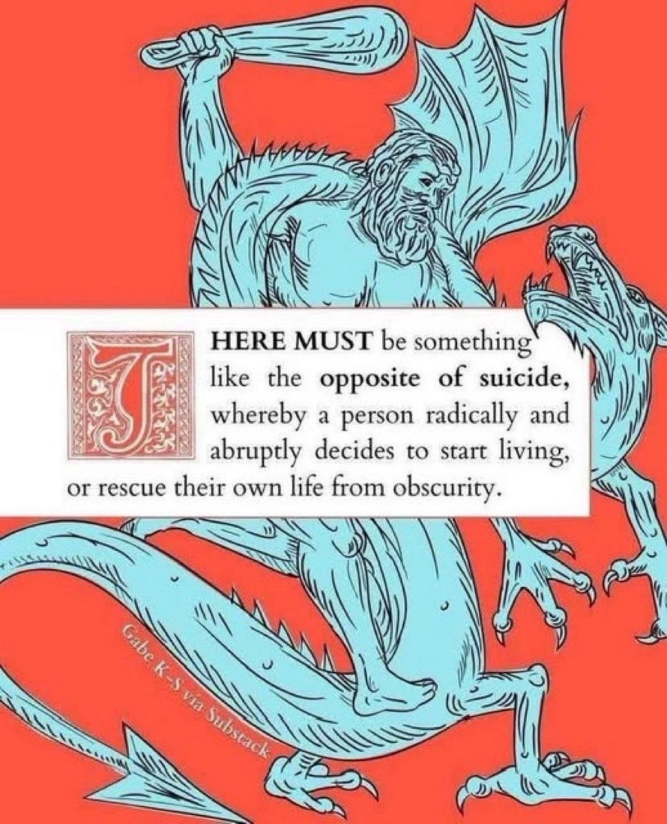 🏛 𝐒𝐭𝐞𝐯𝐞𝐧 🏛 tweet media