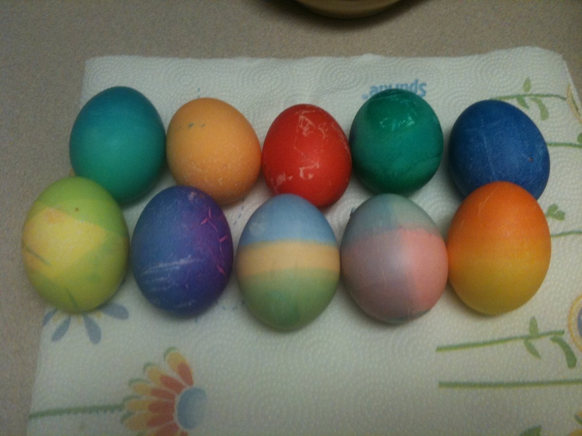 MythoAmerica 🌲 tweet media