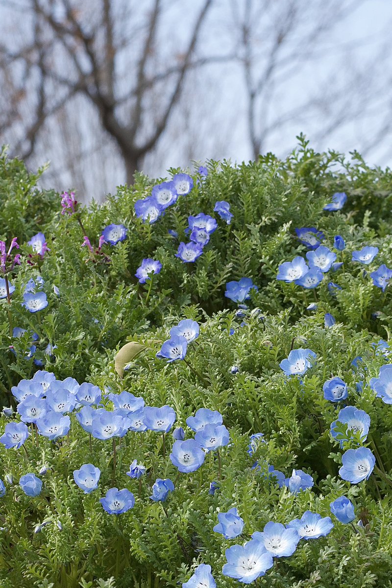 小松ゆり子 tweet media