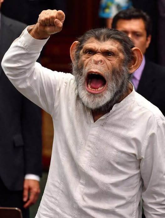 DRA. MERCEDES PAVON "SUPERMUELITA FIFÍ" tweet media