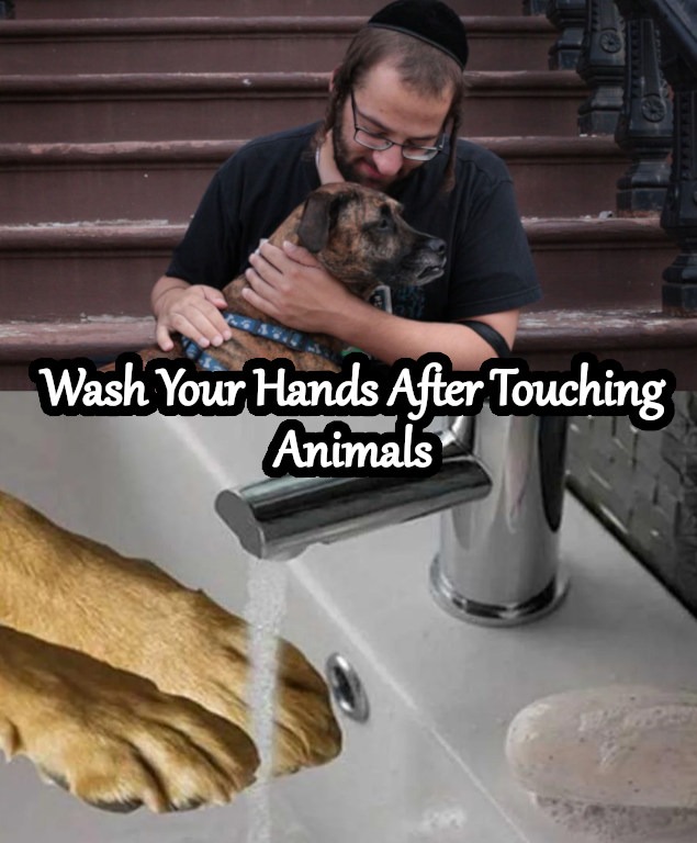 Ministry of Truth tweet media