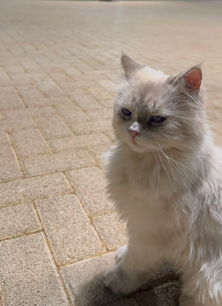 Nihilist tweet media