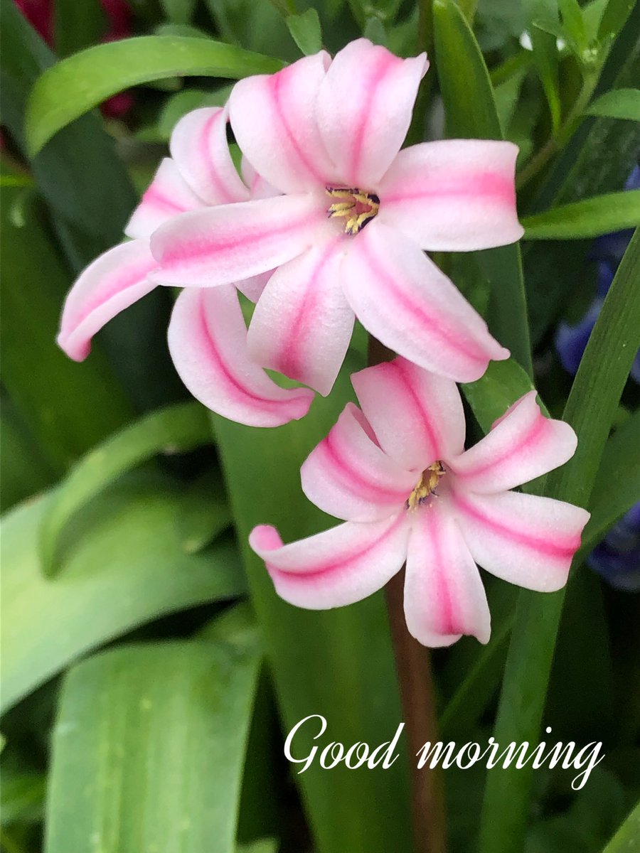 眠り姫の代わりに tweet media