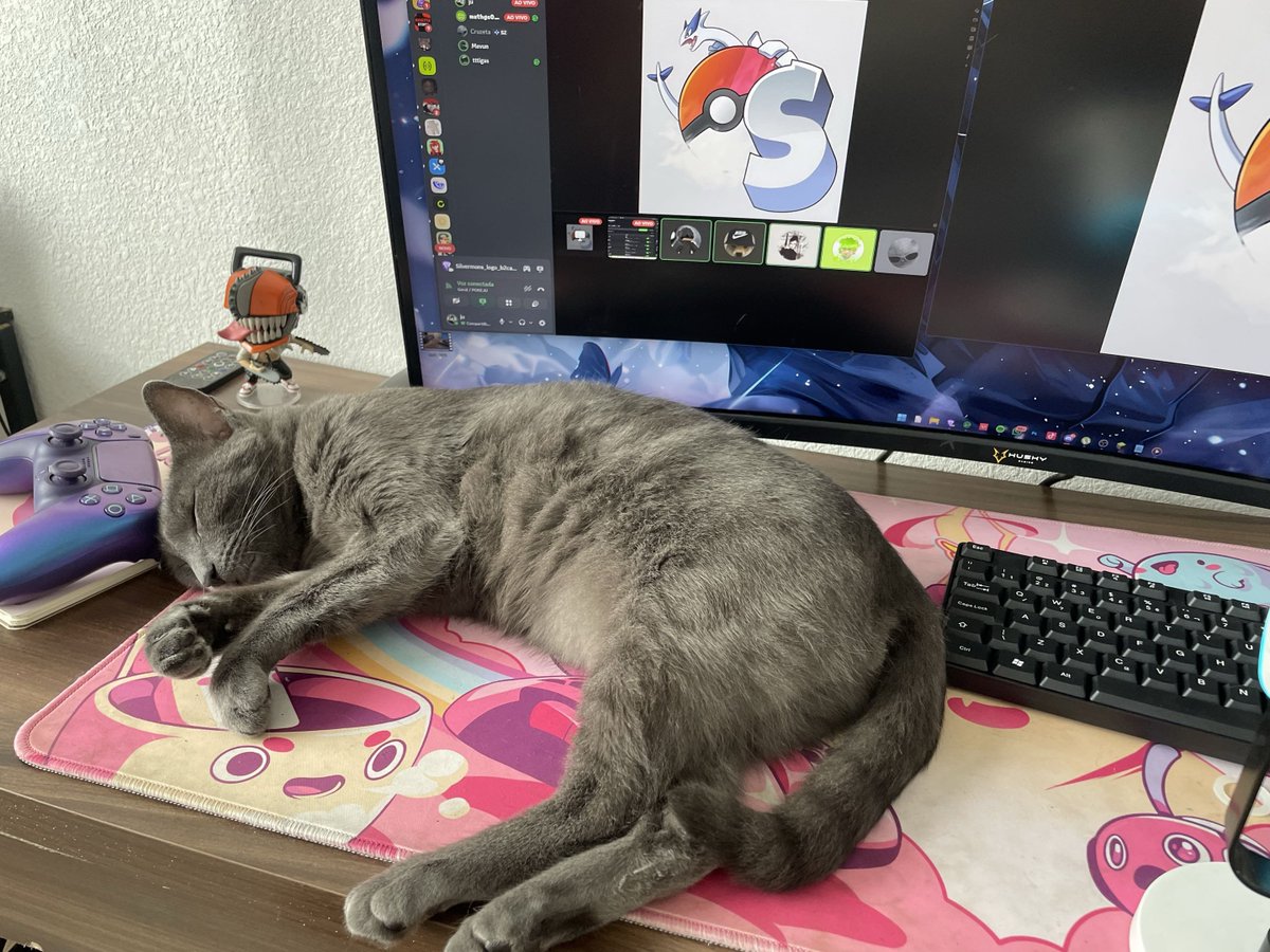 juni tweet media