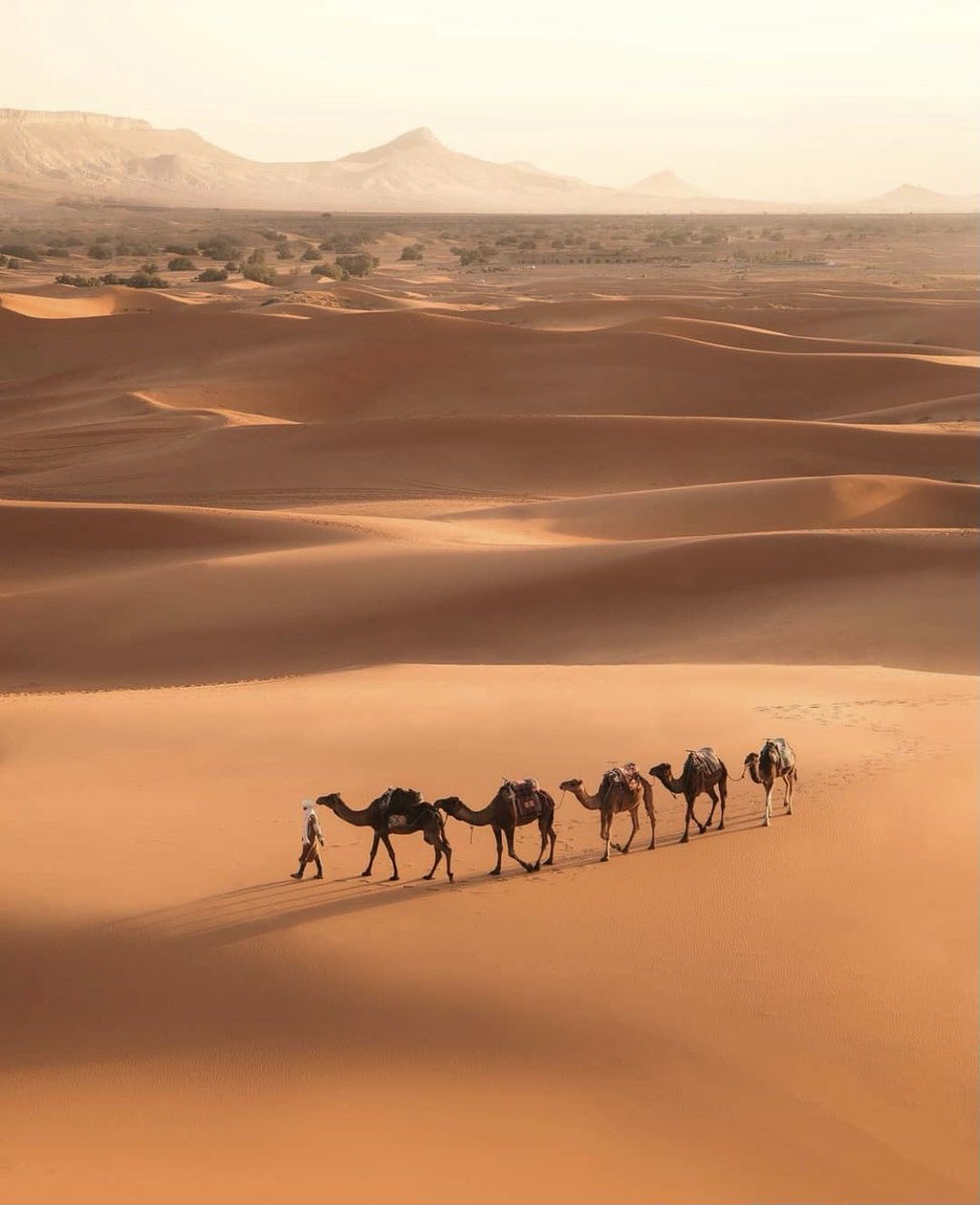 This is world tweet media