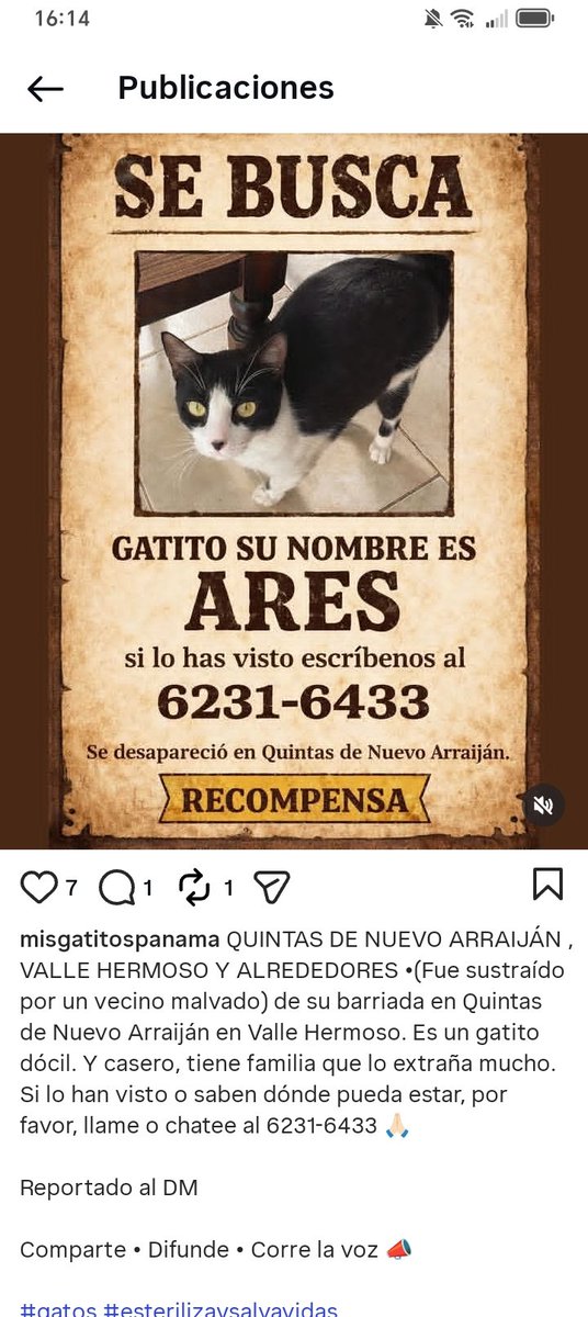 Nacelys González tweet media