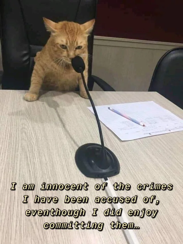 Rowen Adler🌿 tweet media