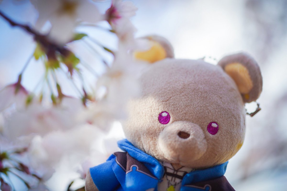 あもん tweet media