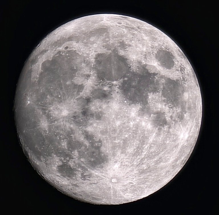 🅼🅸🅶🆄🅴🅻 tweet media