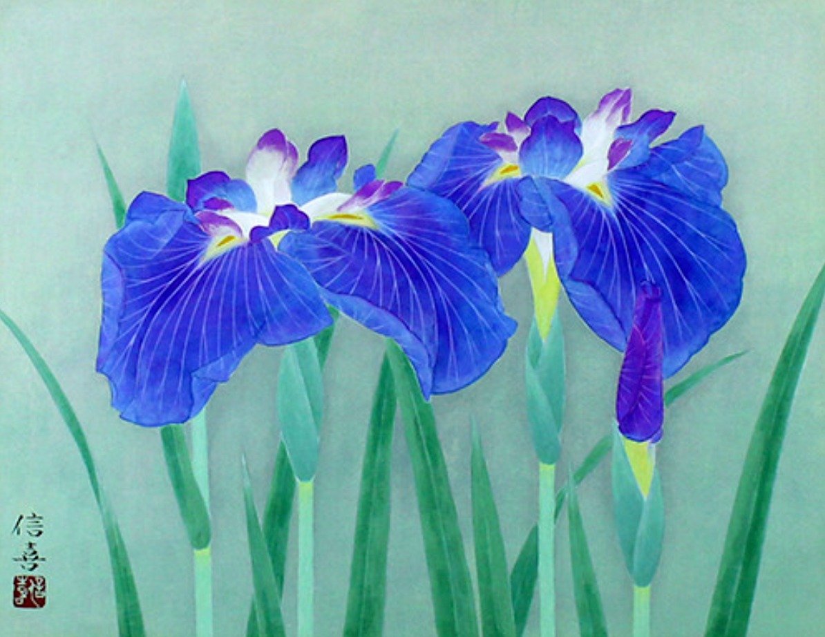 Nobuyoshi Watanabe (b.1941)
Japanese Iris