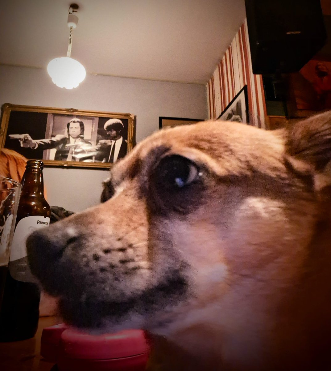 Úrsula González tweet media