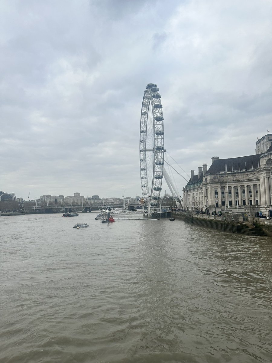 Shae ✨ tweet media