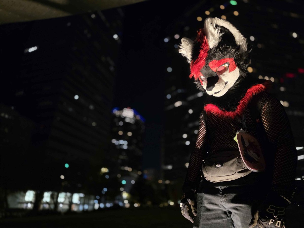 Carter_nyxx's tweet photo. Had an absolutle blast at @FurryFiesta . All my friends who tagged along made it possible. Many thanks
#tff26 #furrsuit #furry https://t.co/ch1S8wq4cR