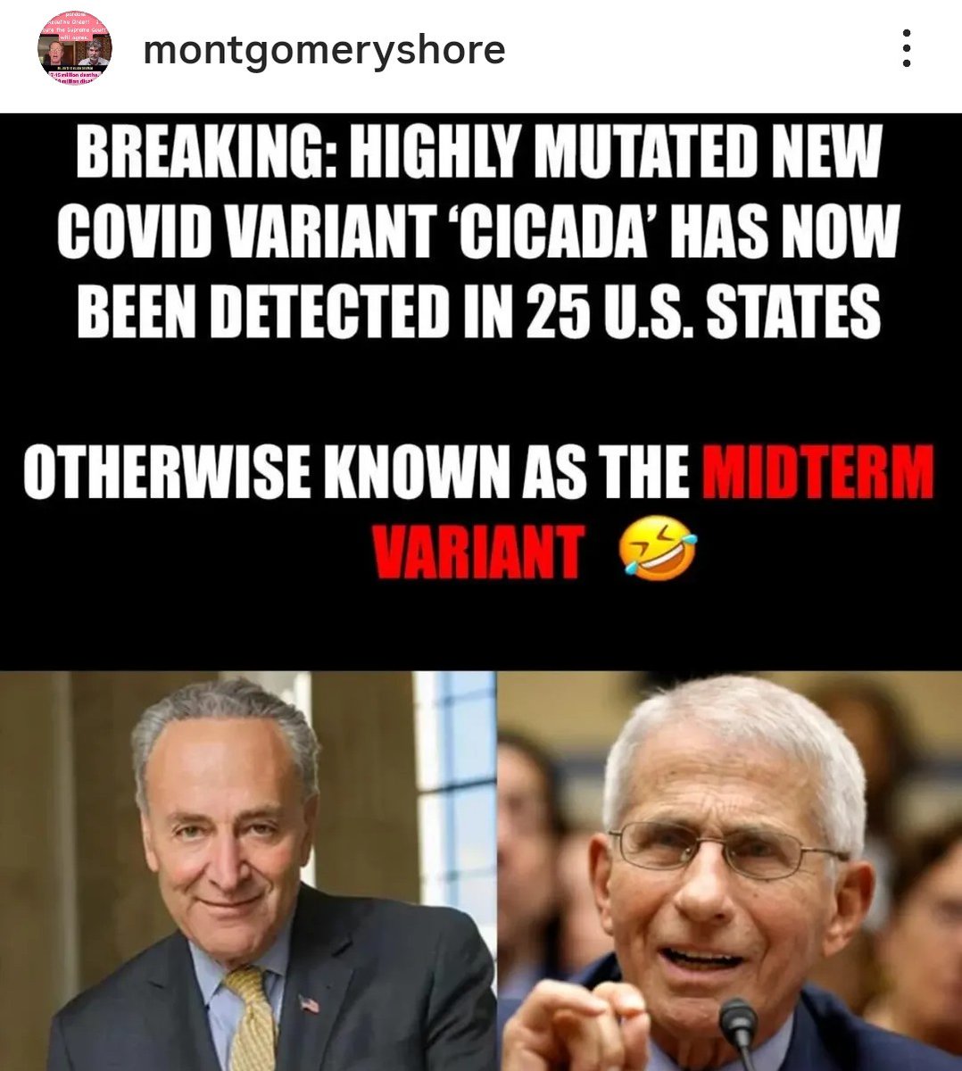 The Mechanic tweet media