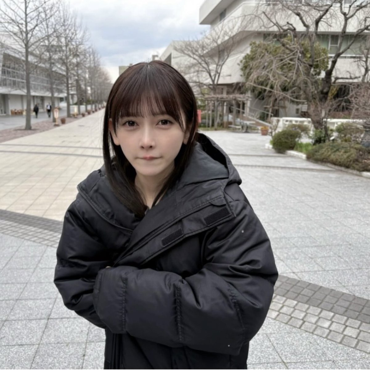 乃木坂46好きなおじさん tweet media