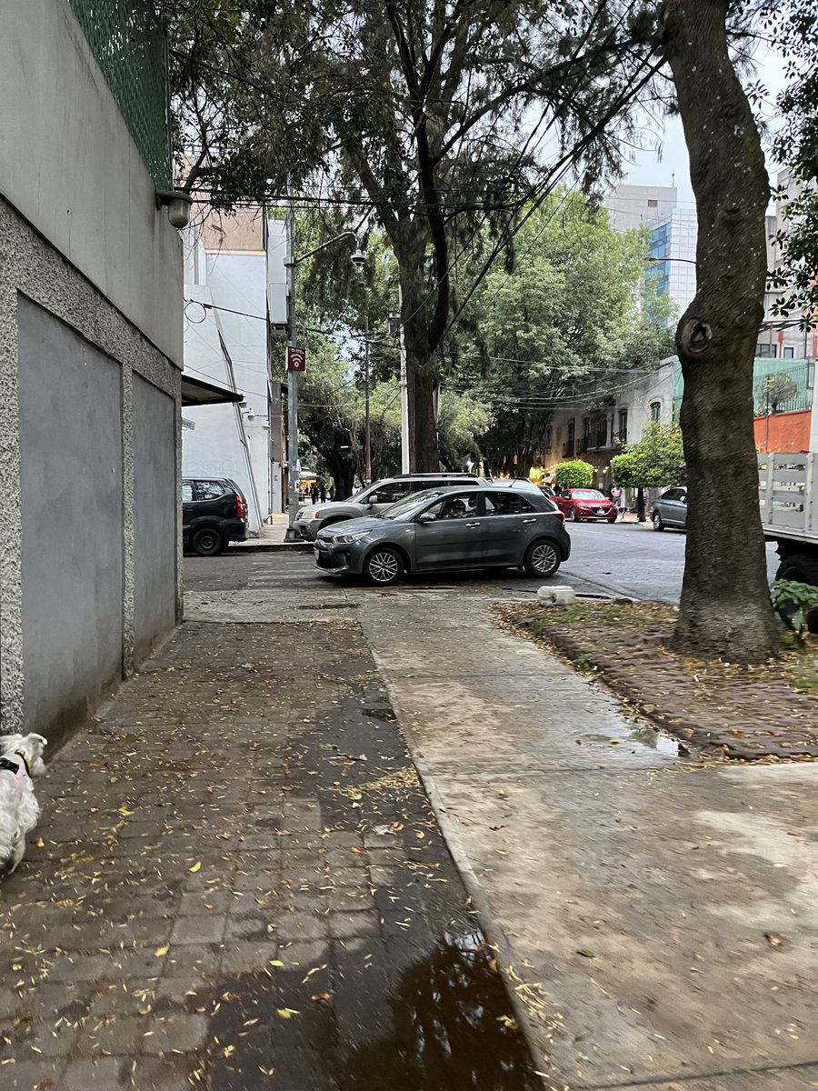 IreriMonter's tweet photo. la roma sur, particularmente tehuantepec y bajío, vive secuestrada por coches en doble fila, en esquinas o banqueta; y restaurantes que no respetan los 2 m para el paso peatonal ¿podrían hacer algo al respecto? es imposible transitar :(
@AlessandraRdlv https://t.co/P244LBCDYi
