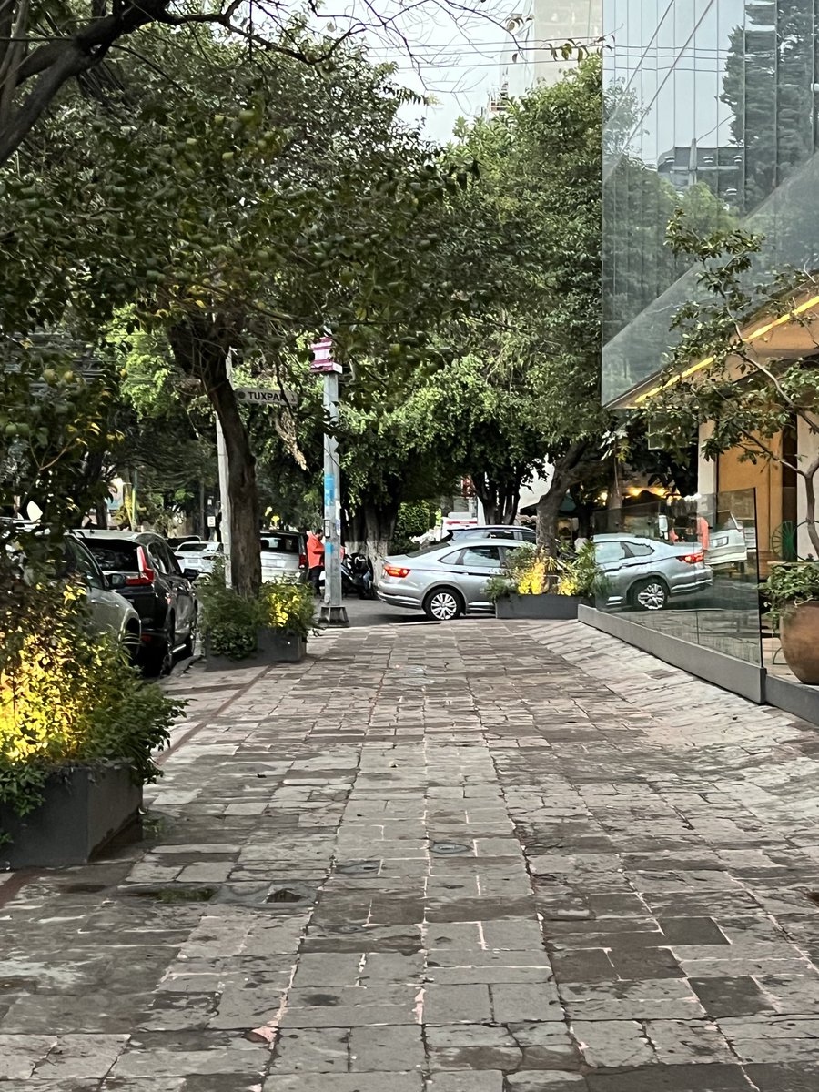 IreriMonter's tweet photo. @AlcCuauhtemocMx ayuda :( https://t.co/kaORL3gPHk