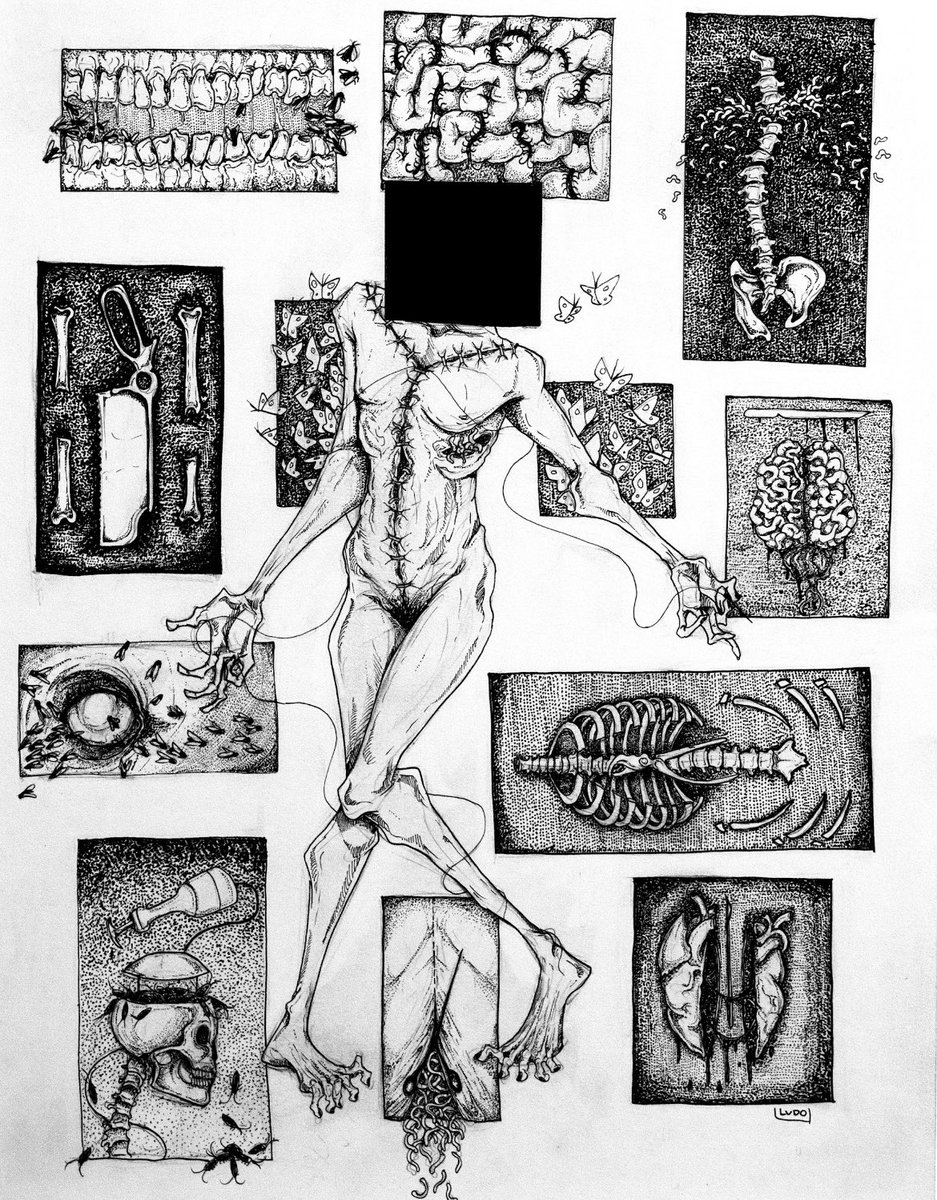 ludo 🦷 tweet media