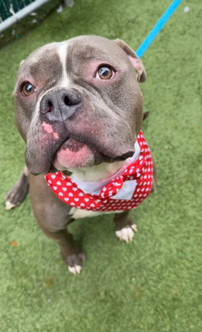 Cozy Paws🐾 tweet media