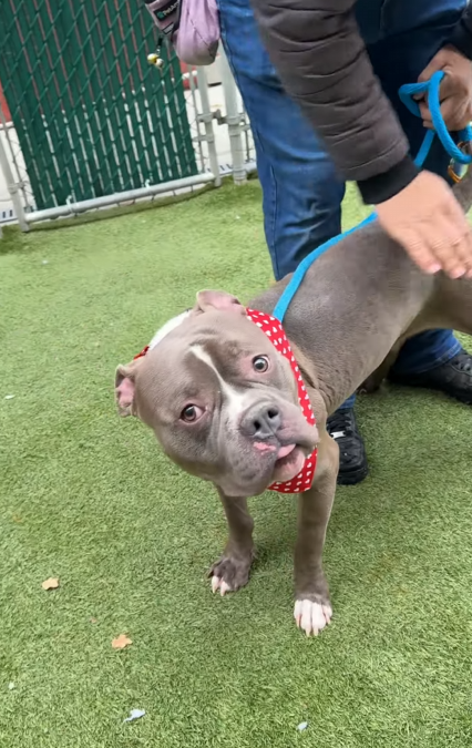 Cozy Paws🐾 tweet media