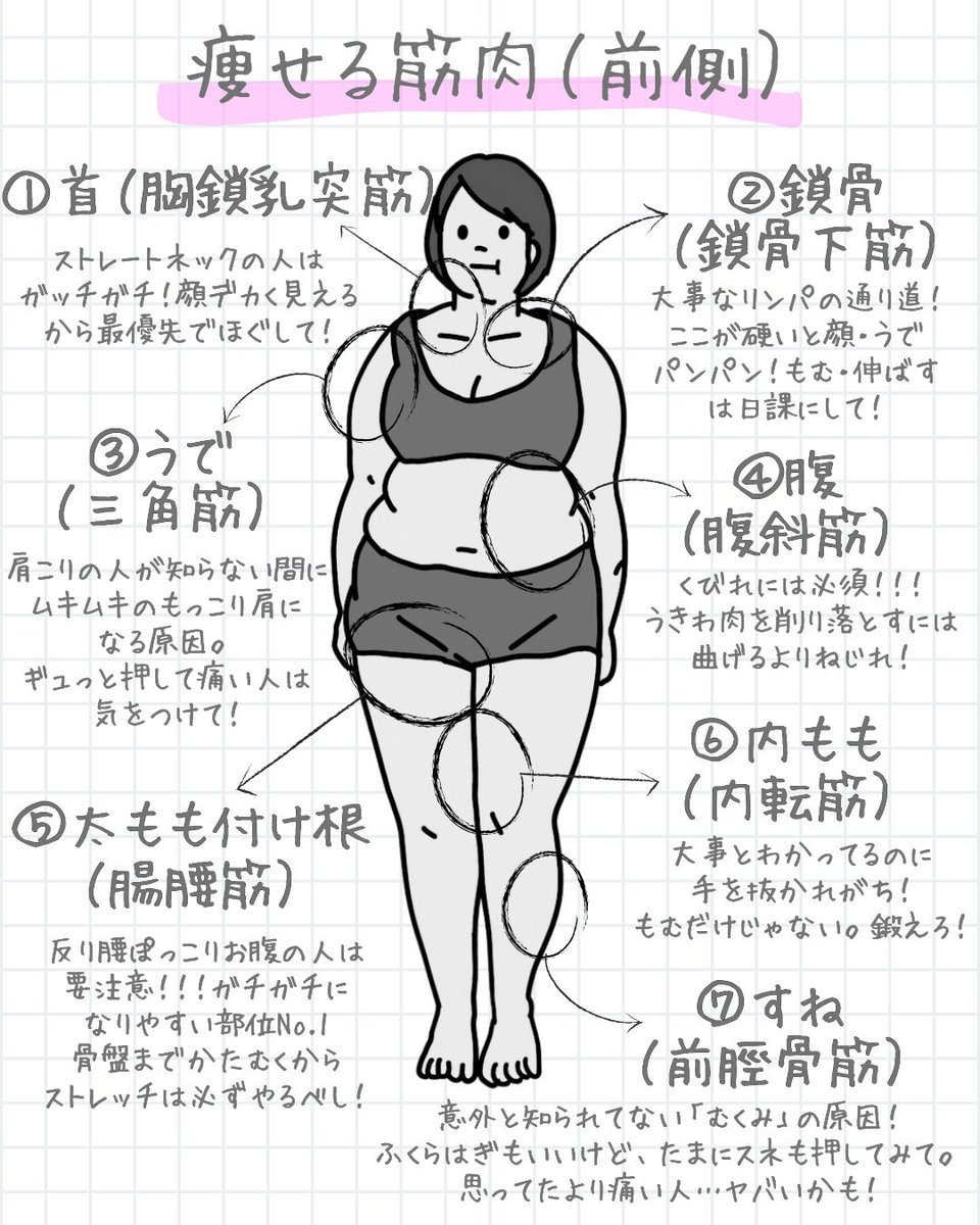 かたこりくん tweet media