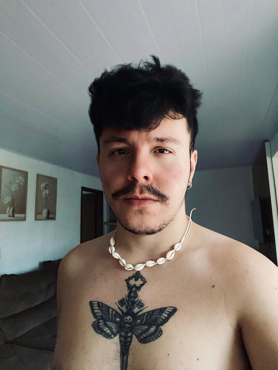 Wingsauro, o corajoso tweet media