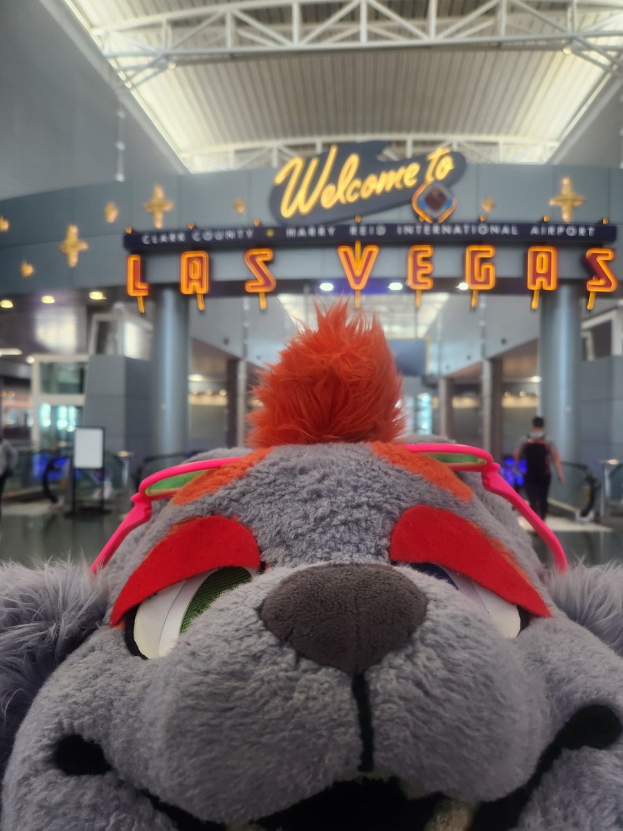 Rabidwolf tweet media