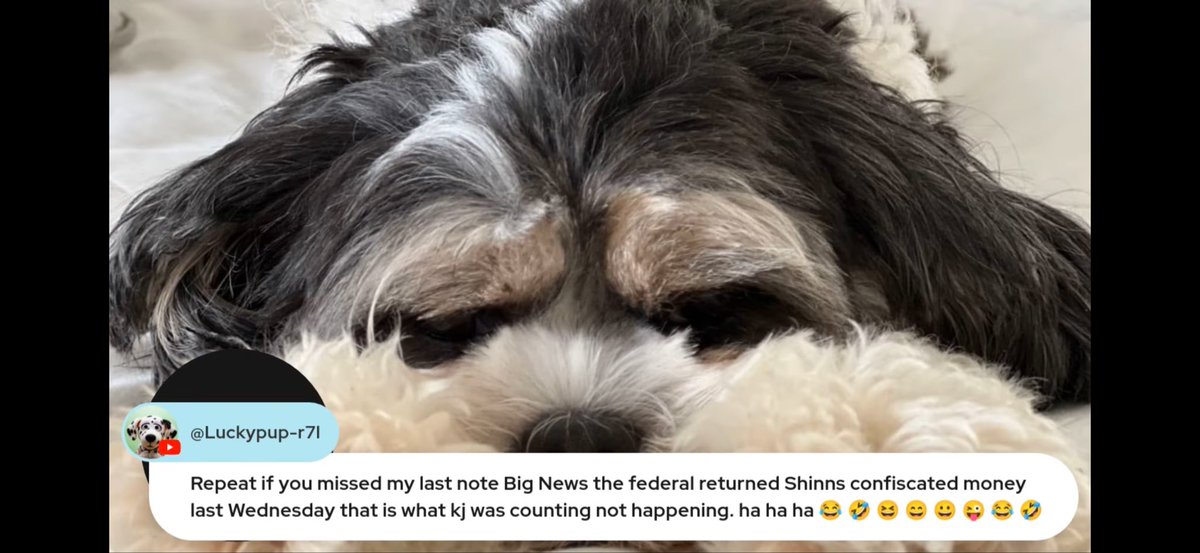 with_out_a_crystal_ballz tweet media