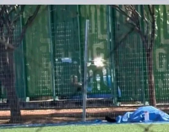 Códices Oaxaca tweet media