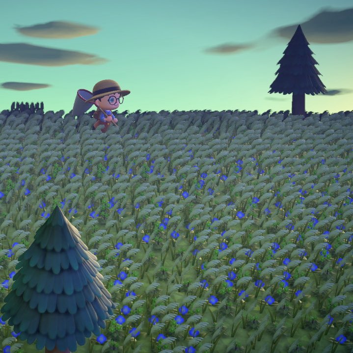 こんぶだし tweet media