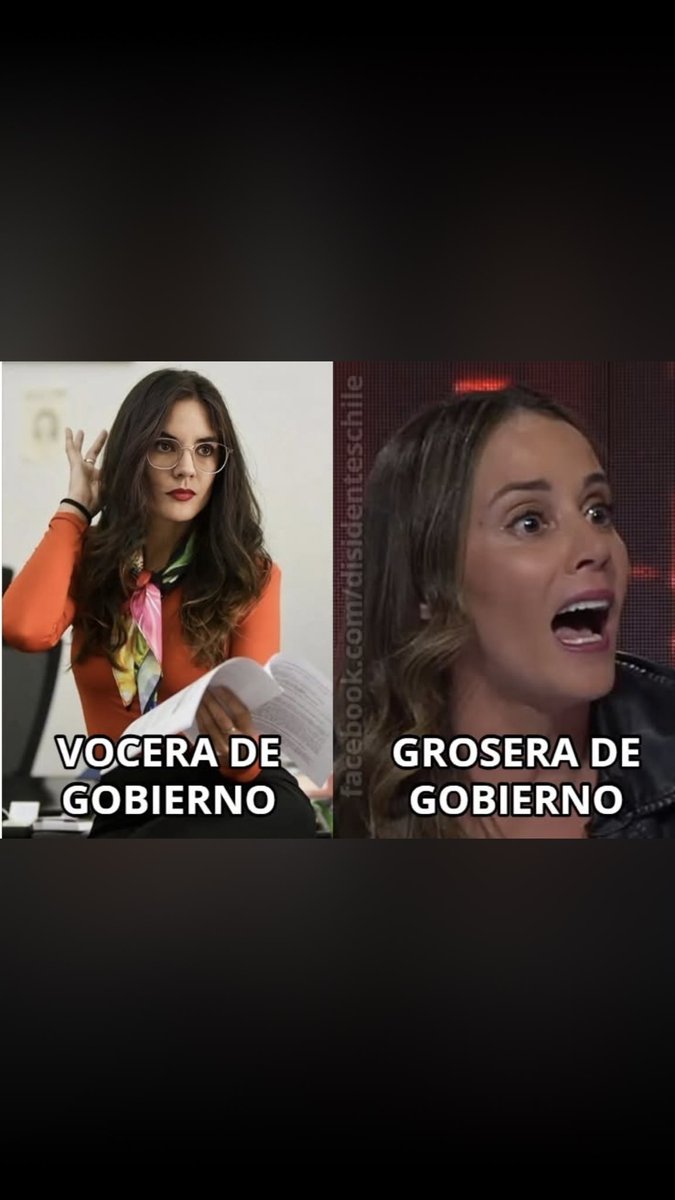 Tato Gams tweet media