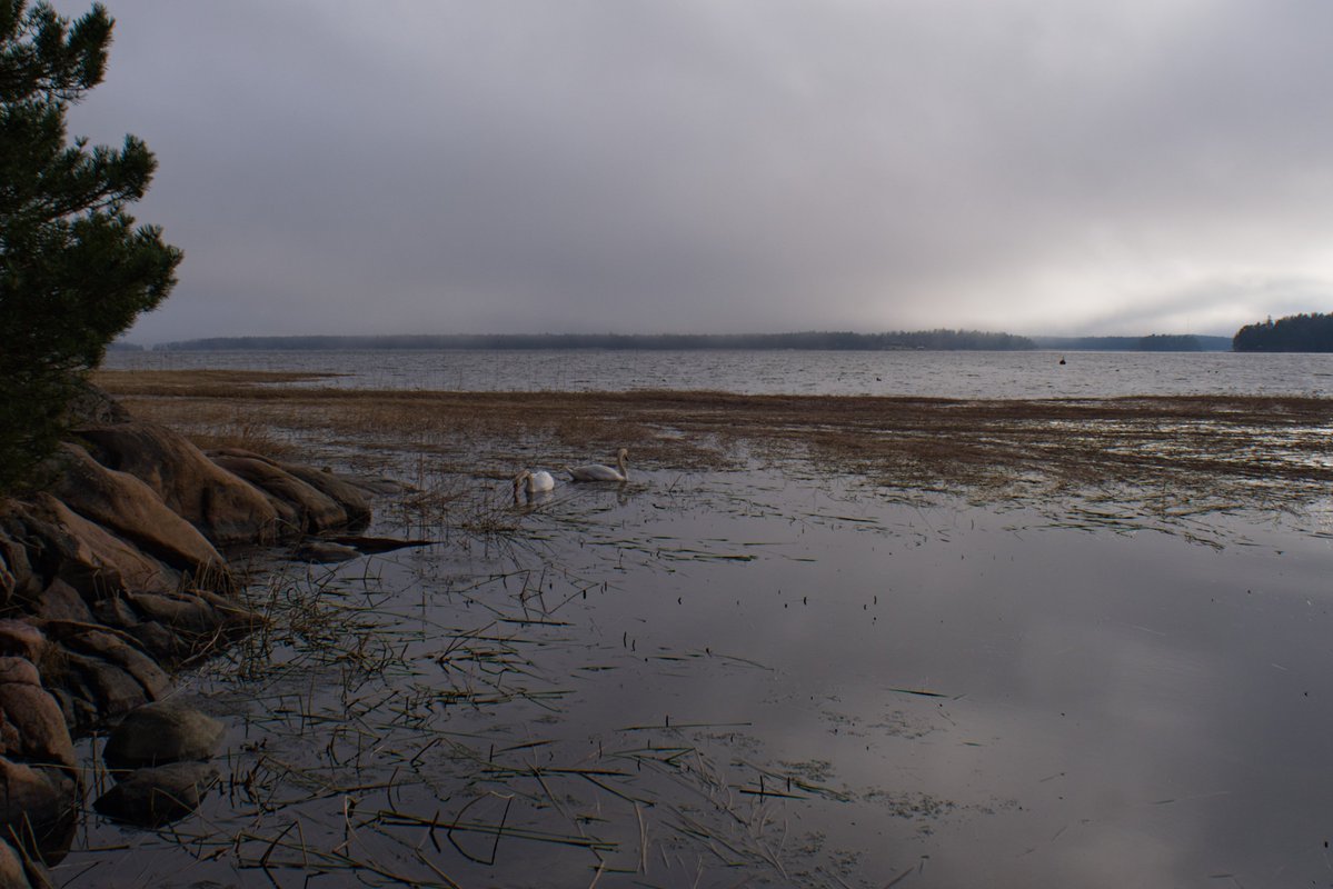 ☭⬌☠ tweet media