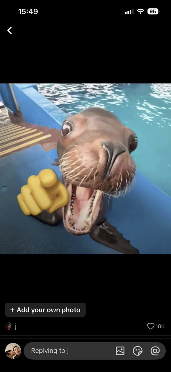 Quan DING DING 👩🏻🎨👩🏻🏫👩🏻💻 tweet media