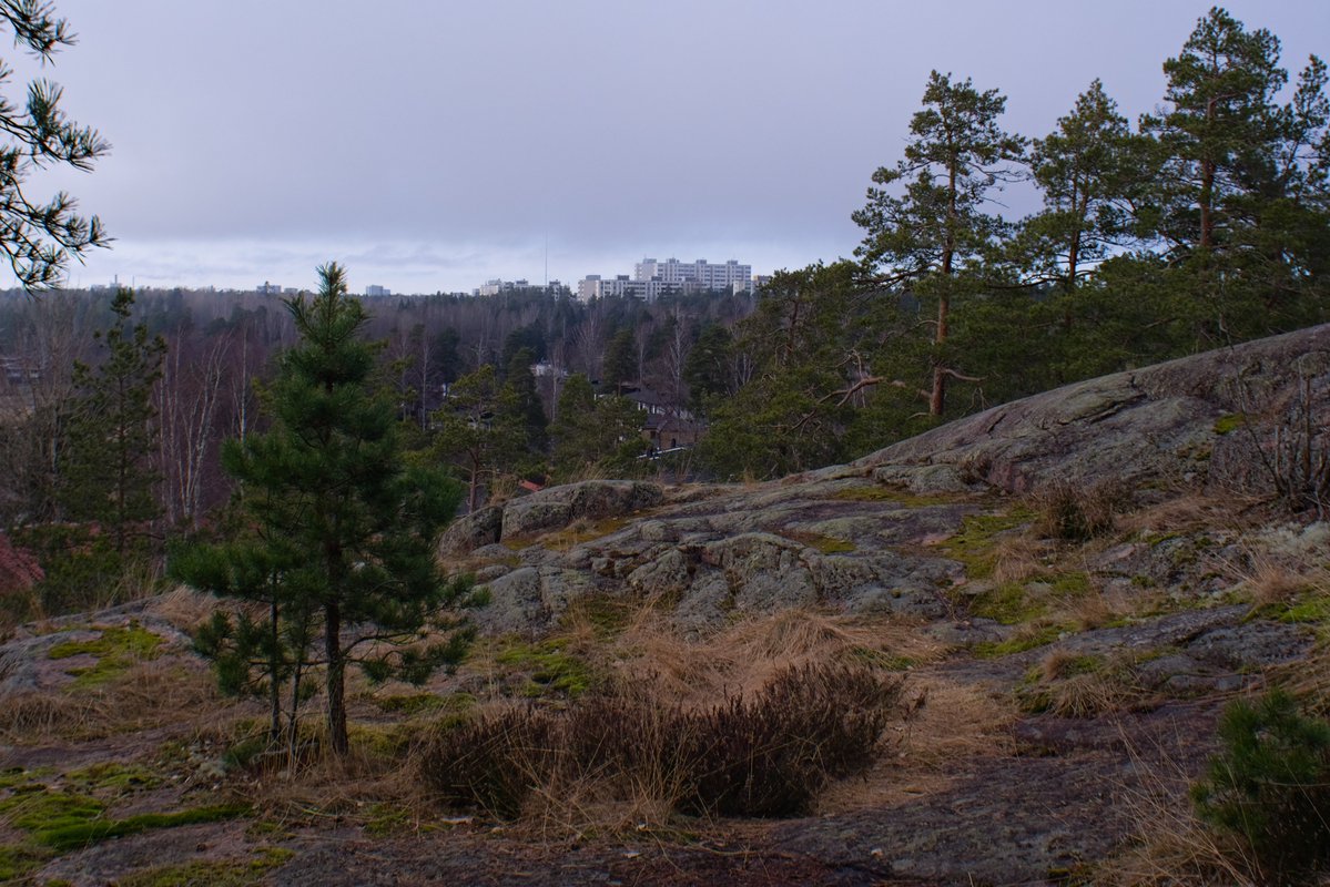 ☭⬌☠ tweet media